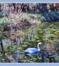 Gooderstone Water Gardens Norfolk Greeting Card A5