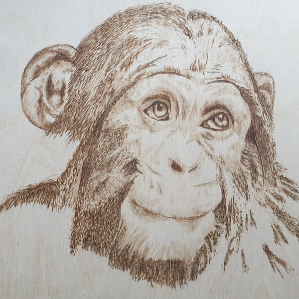 Portrait of a Monkey