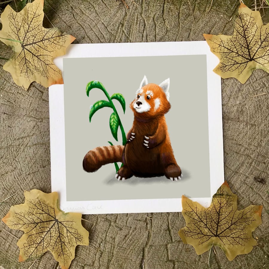 Red Panda Art Print