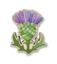 Wooden Pin Badge - Scottish Thistle - Maple Wood Brooch - Gifts from Scotland
