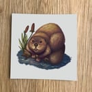 Beaver Square Post Card Print