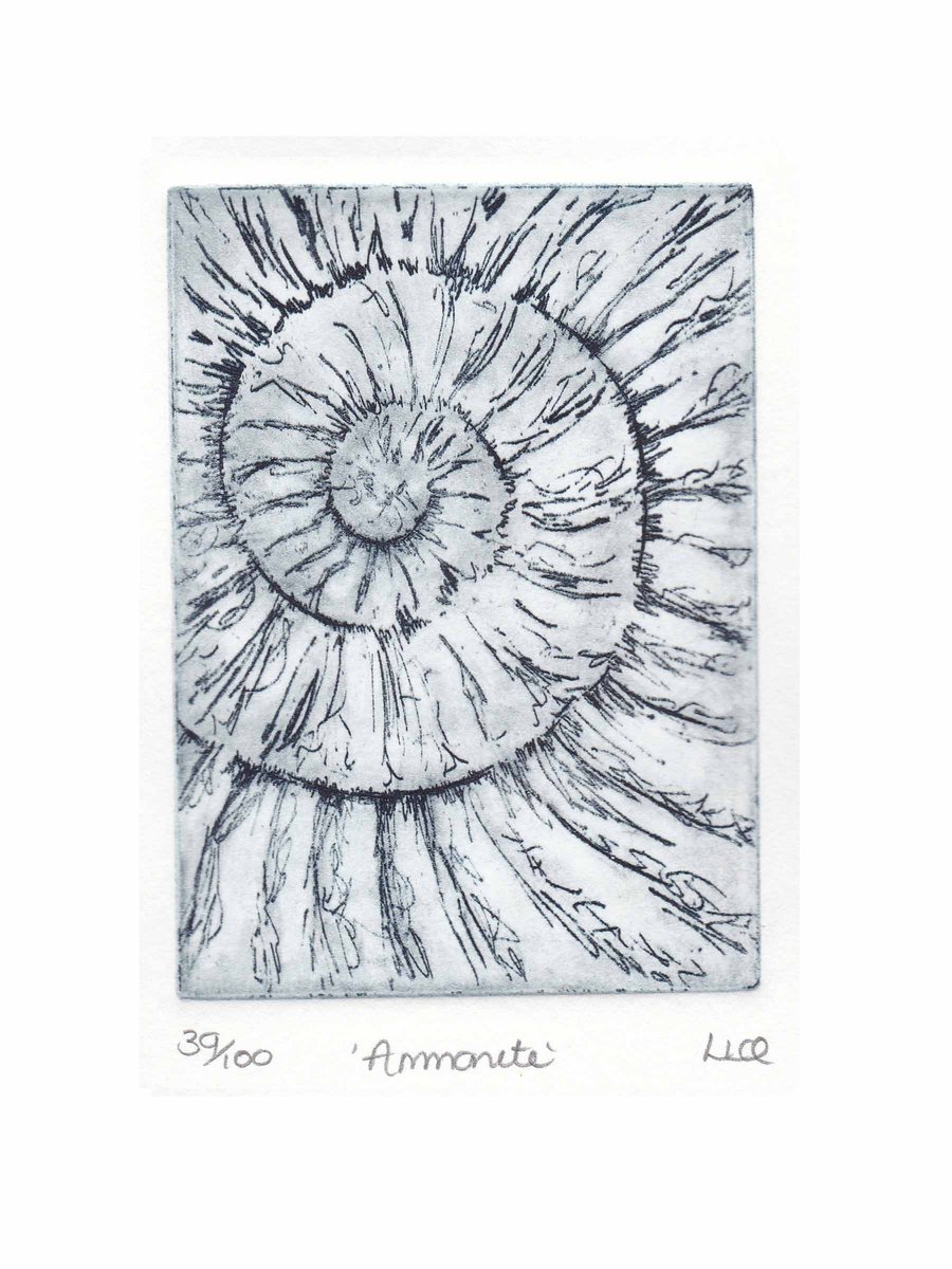 Etching no.39 of an ammonite fossil in an edition of 100