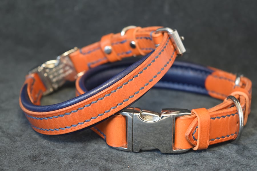 Padded Leather Dog Collar, Hand Stiched, Quick Release