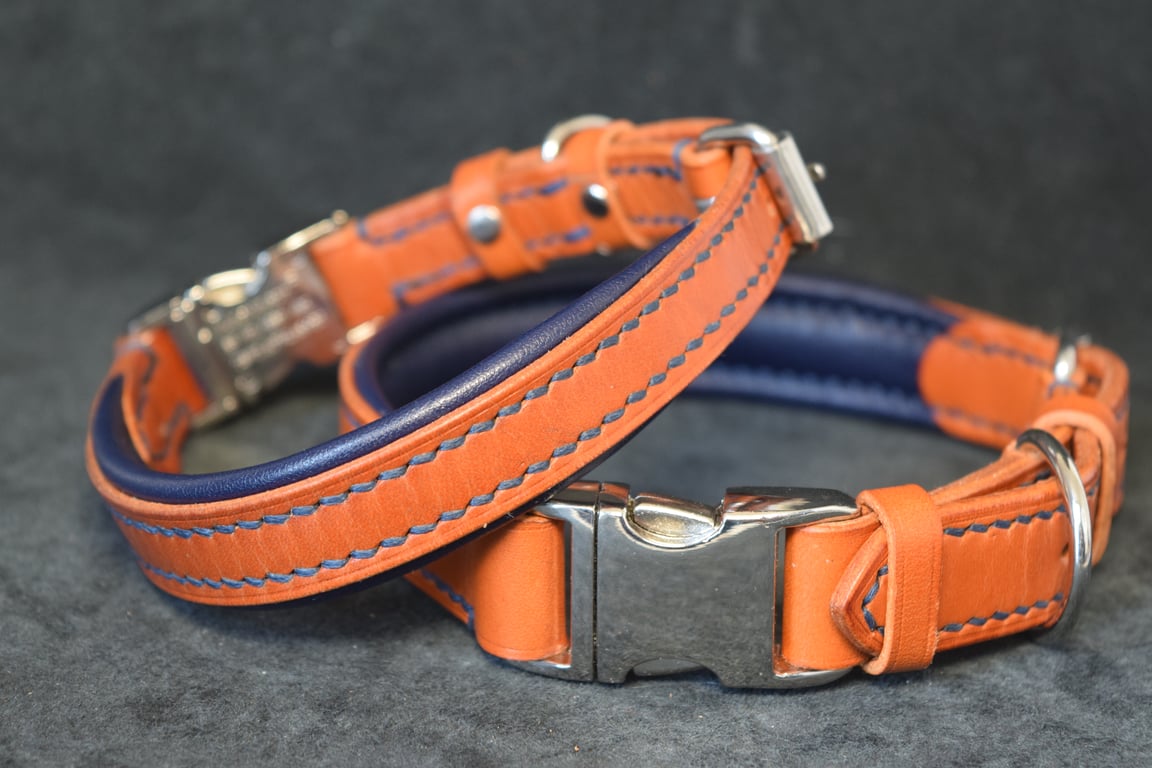 Padded Leather Dog Collar, Hand Stiched, Quick Release