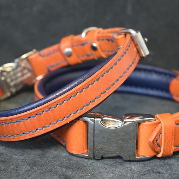 Padded Leather Dog Collar, Hand Stiched, Quick Release