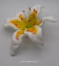 Handmade Fused Glass Matte White and Yellow Stargazer Lily with Wall-mount - Image 4