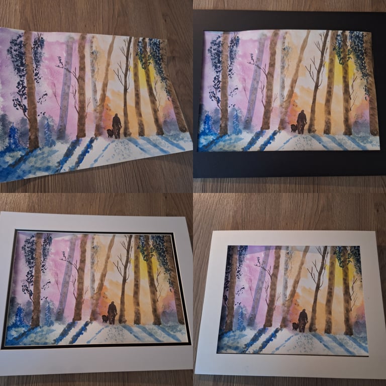 Snow woodland winter sun 