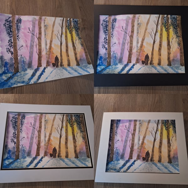 Snow woodland winter sun 