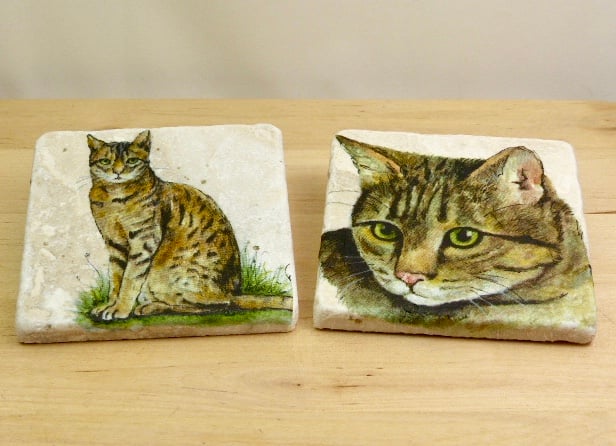 Marble 'Cat' Coasters