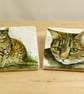 Marble 'Cat' Coasters - Image 1