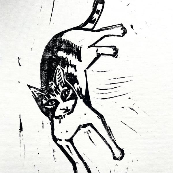 Daisy Cat Print limited edition UNFRAMED 