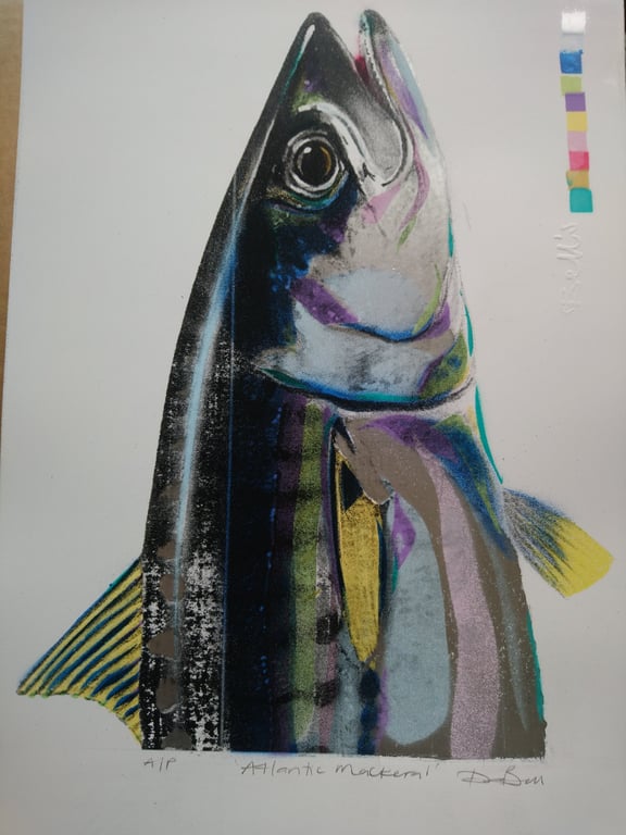 'Atlantic Mackerel' Original Signed and Editioned Artwork