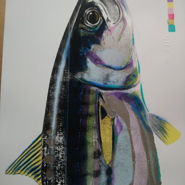 Atlantic Mackerel