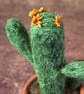 Saguaro Cactus. Needle Felted, Wool Fibres. Real Terracotta Pot. FREE SHIPPING. - Image 3