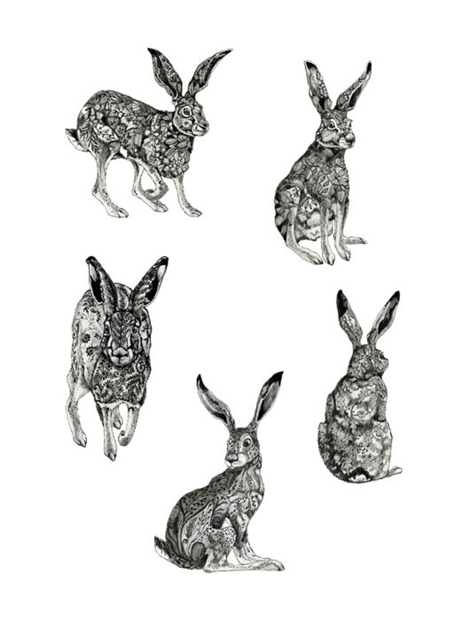 Hare Collection A4 Giclee print illustration Various Hares