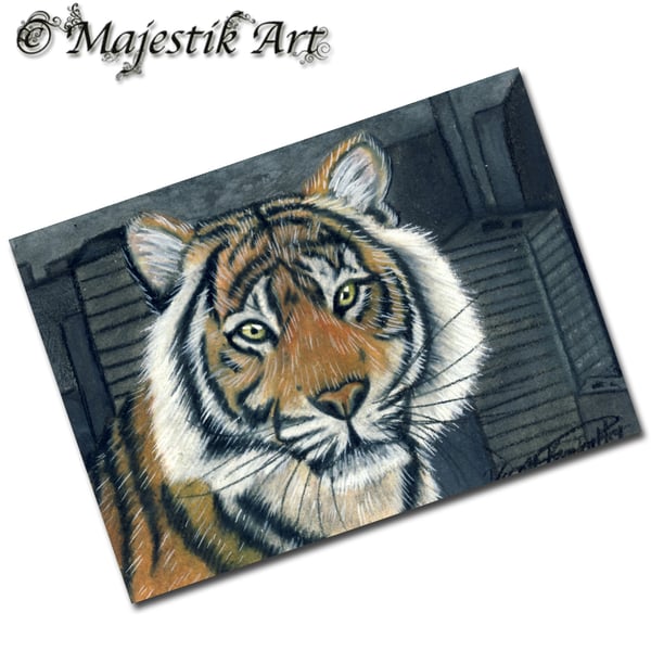 Archival ACEO Tiger Print 'City' By V Kenworthy