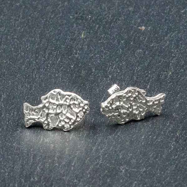 Fish Stud Earrings (FSS28)