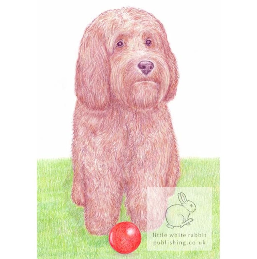 Giles with his ball - Blank Card