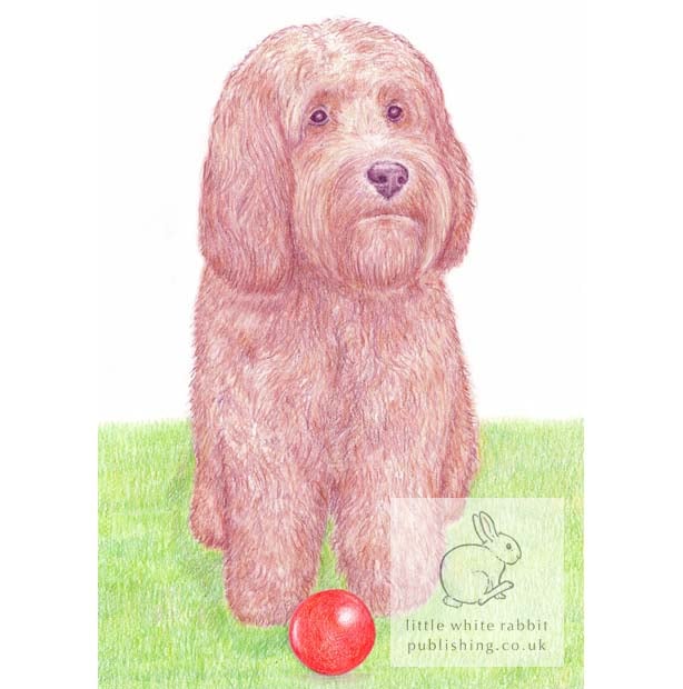 Giles with his ball - Blank Card