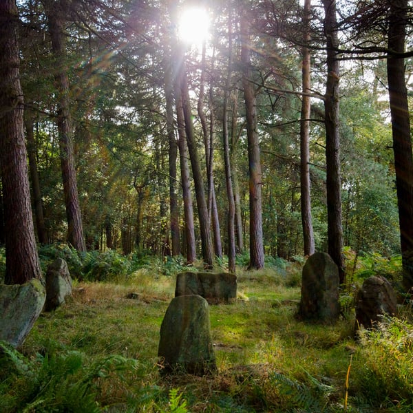Doll Tor stone circle print