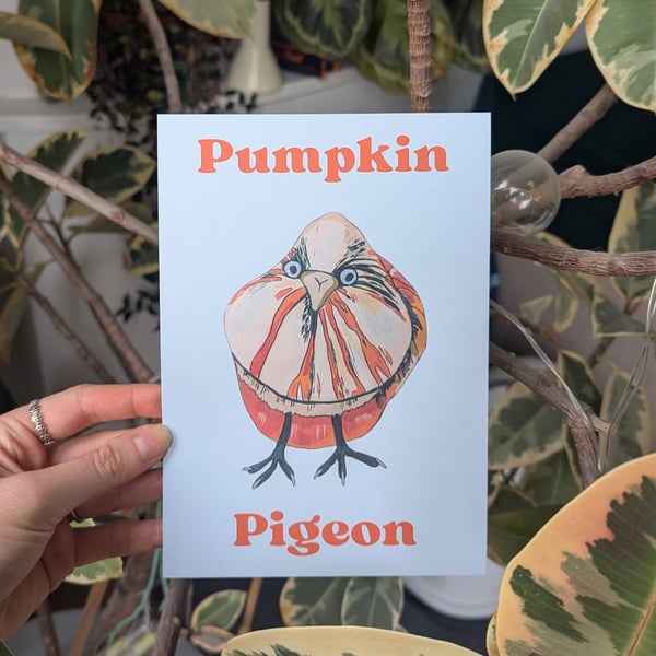 Pumpkin Pigeon A5 Inkjet Print