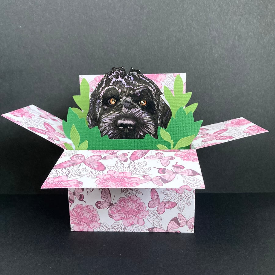 Cockapoo Birthday Card. Personalised 3D black cockapoo dog gift card holder.
