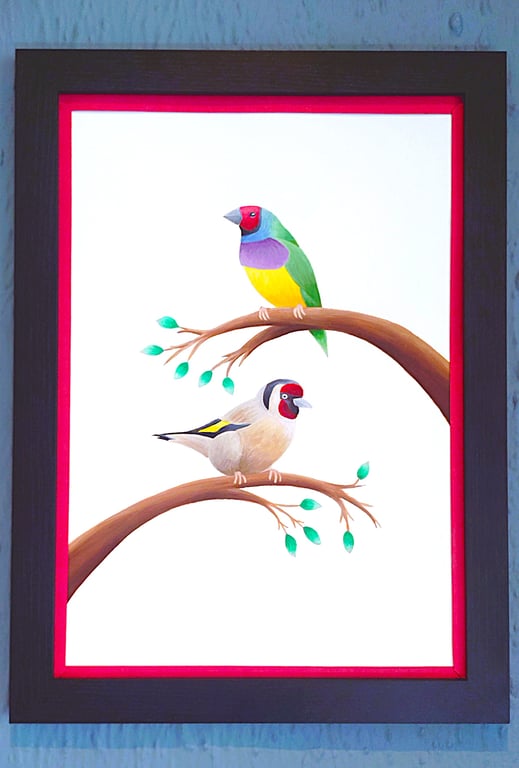Handmade Framed A3 Print Colourful Gouldian GoldFinch Red Border Wallart