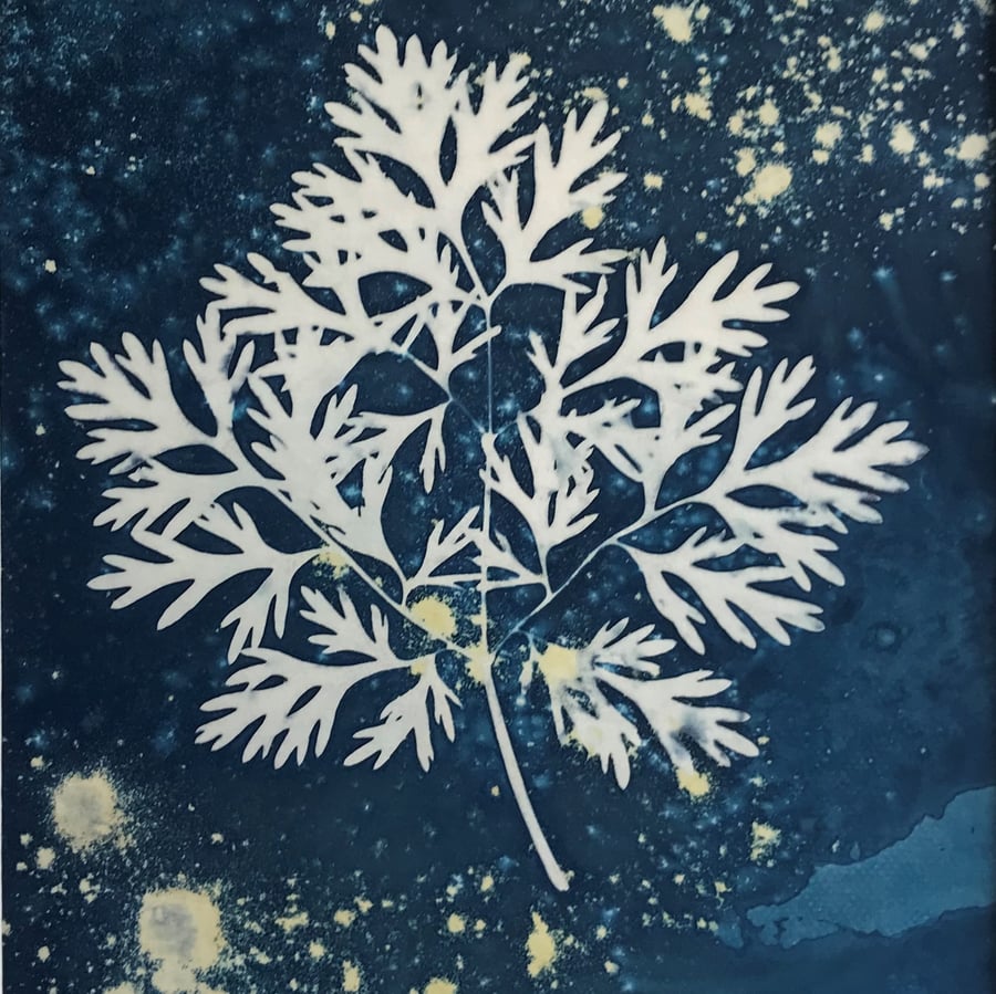 Coriander Leaf, a Botanical artwork, bring the outside in.