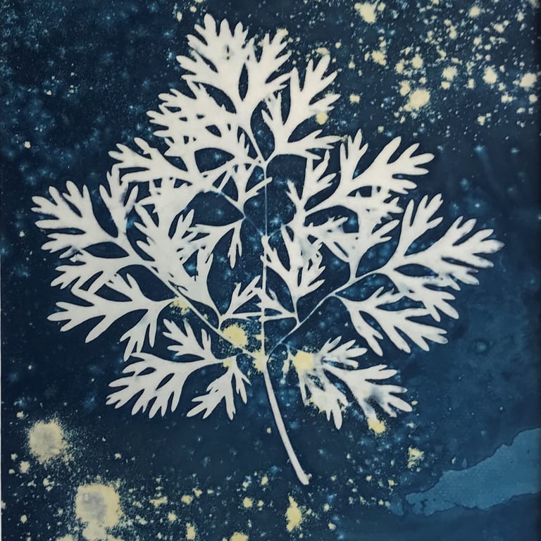 Coriander Leaf, a Botanical artwork, bring the outside in.