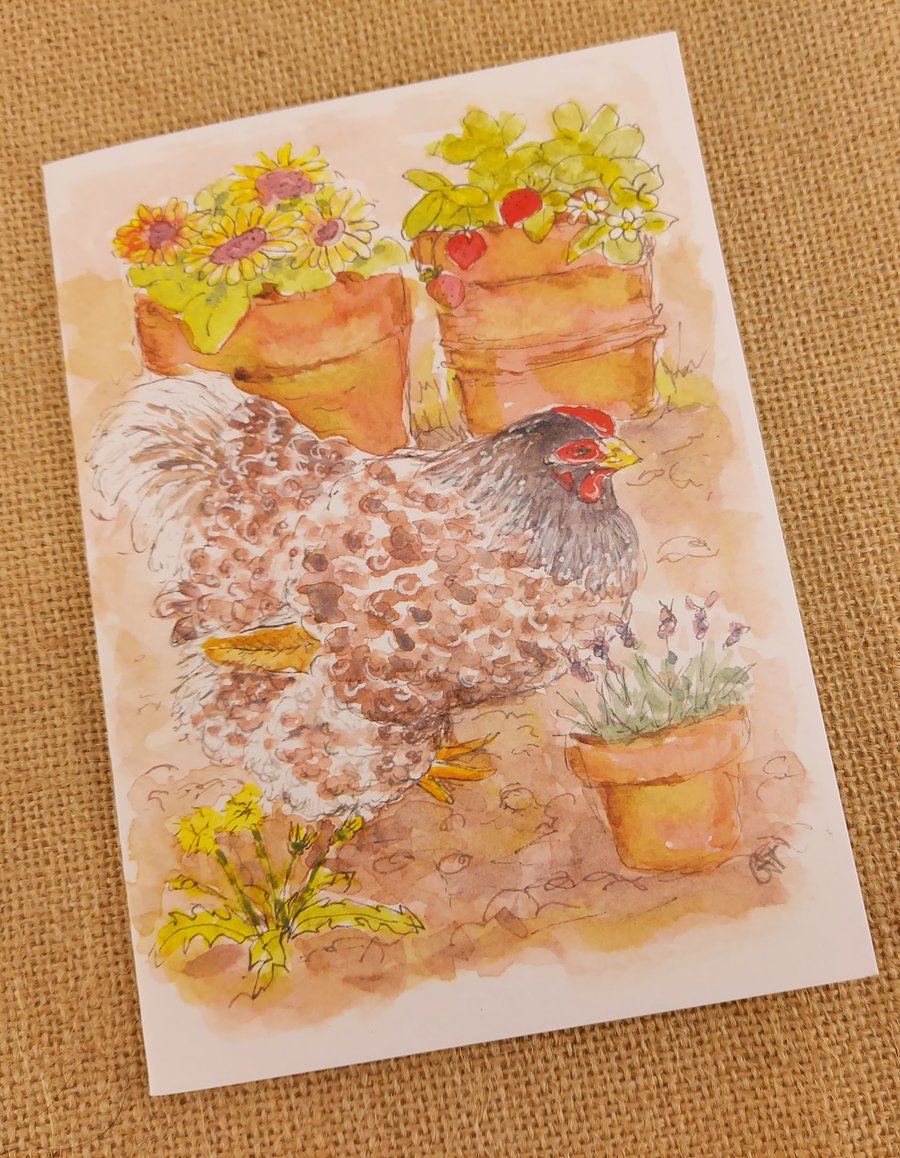 Hen patrolling the pots blank card