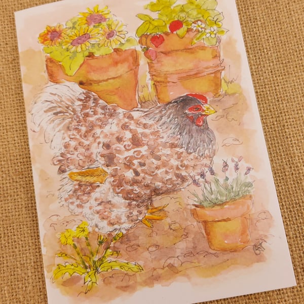 Hen patrolling the pots blank card