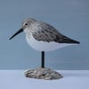 Dunlin on an oyster shell