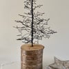 Festive Fir Tree