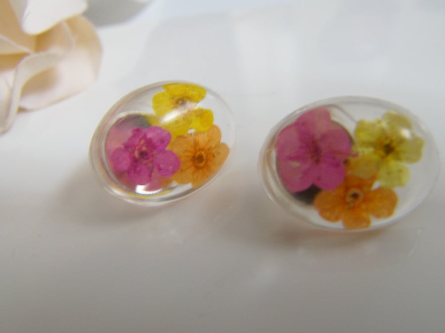 Real Flower Earrings, Resin Oval Studs