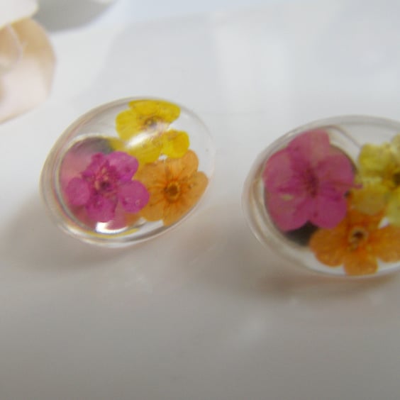 Real Flower Earrings, Resin Oval Studs