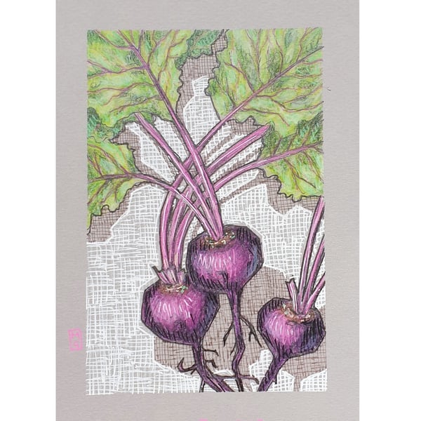 Beetroot original artwork, kitchen wall art, beets drawing, kitchen decor