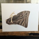 Babirusa Deer-Pig Pig Charity Painting 