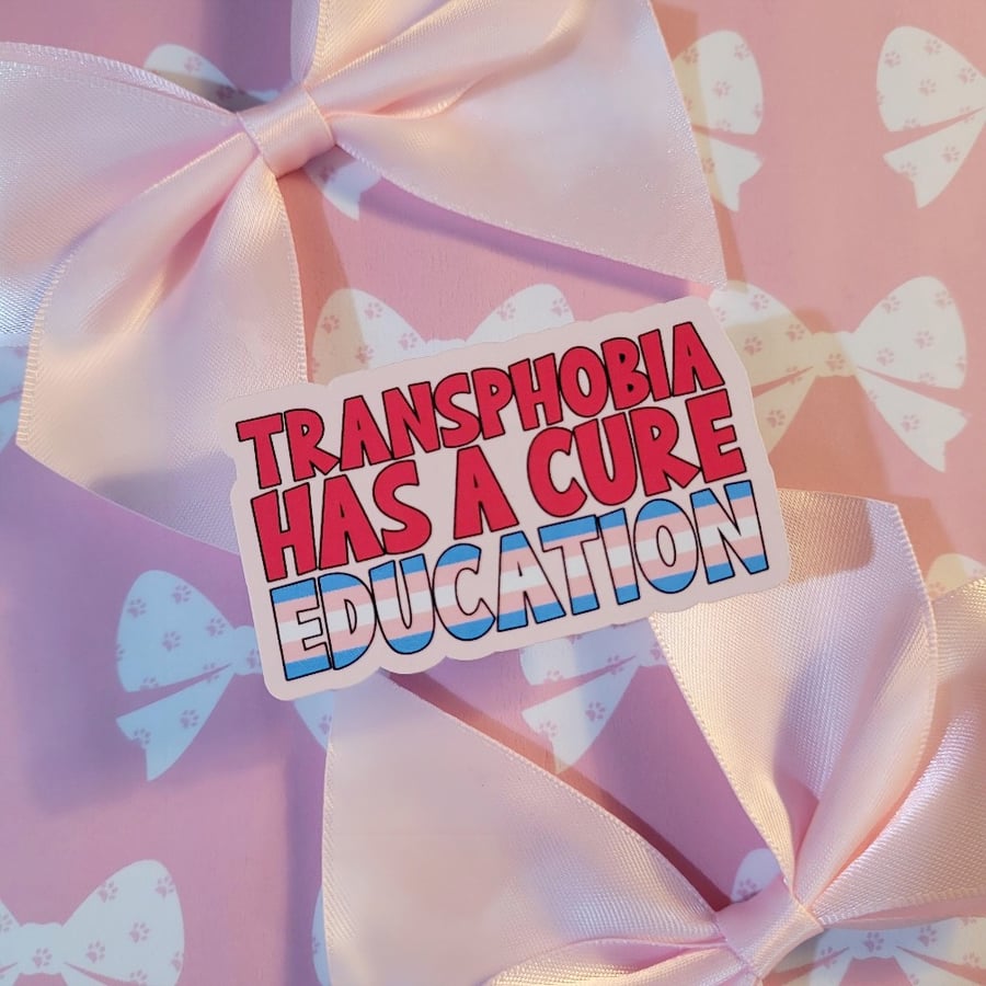 Trans Rights Sticker