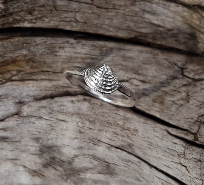 Venus Shell ring