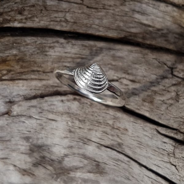 Venus Shell ring