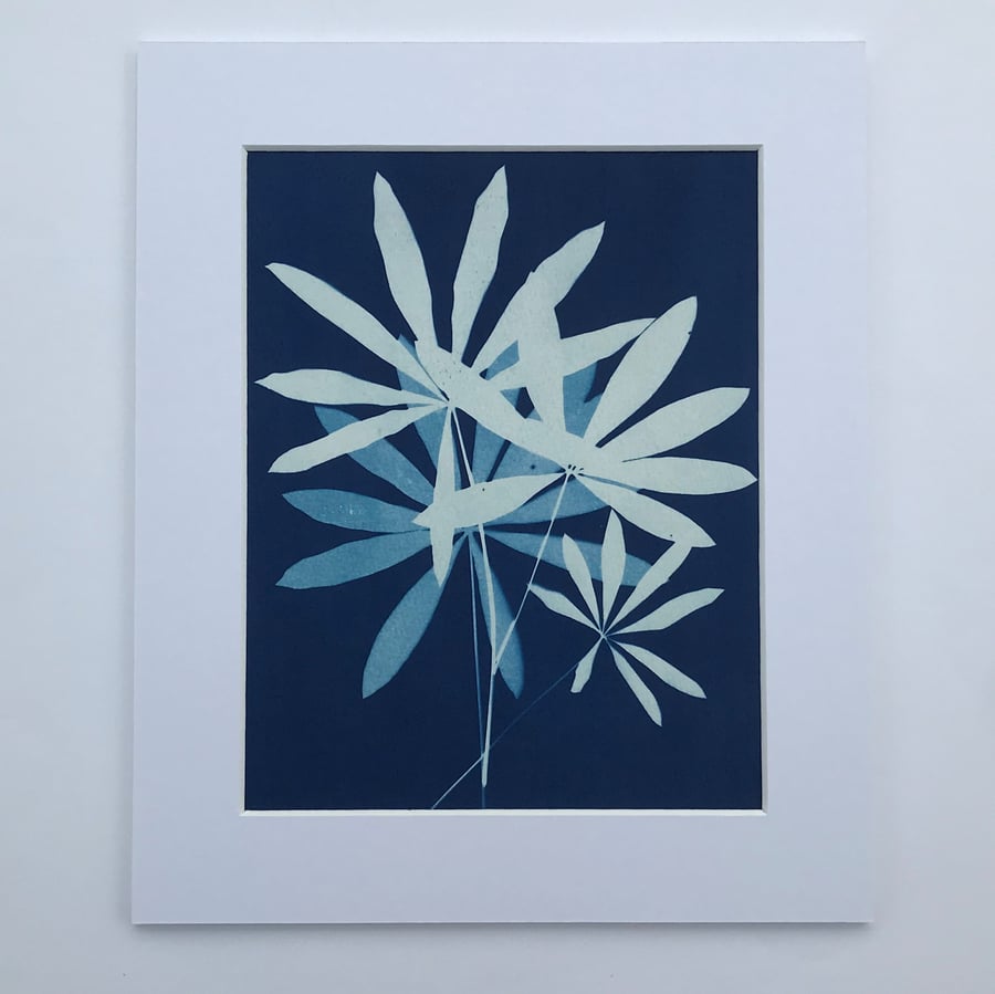 Hues of Blue, in this Cyanotype Original Photogram