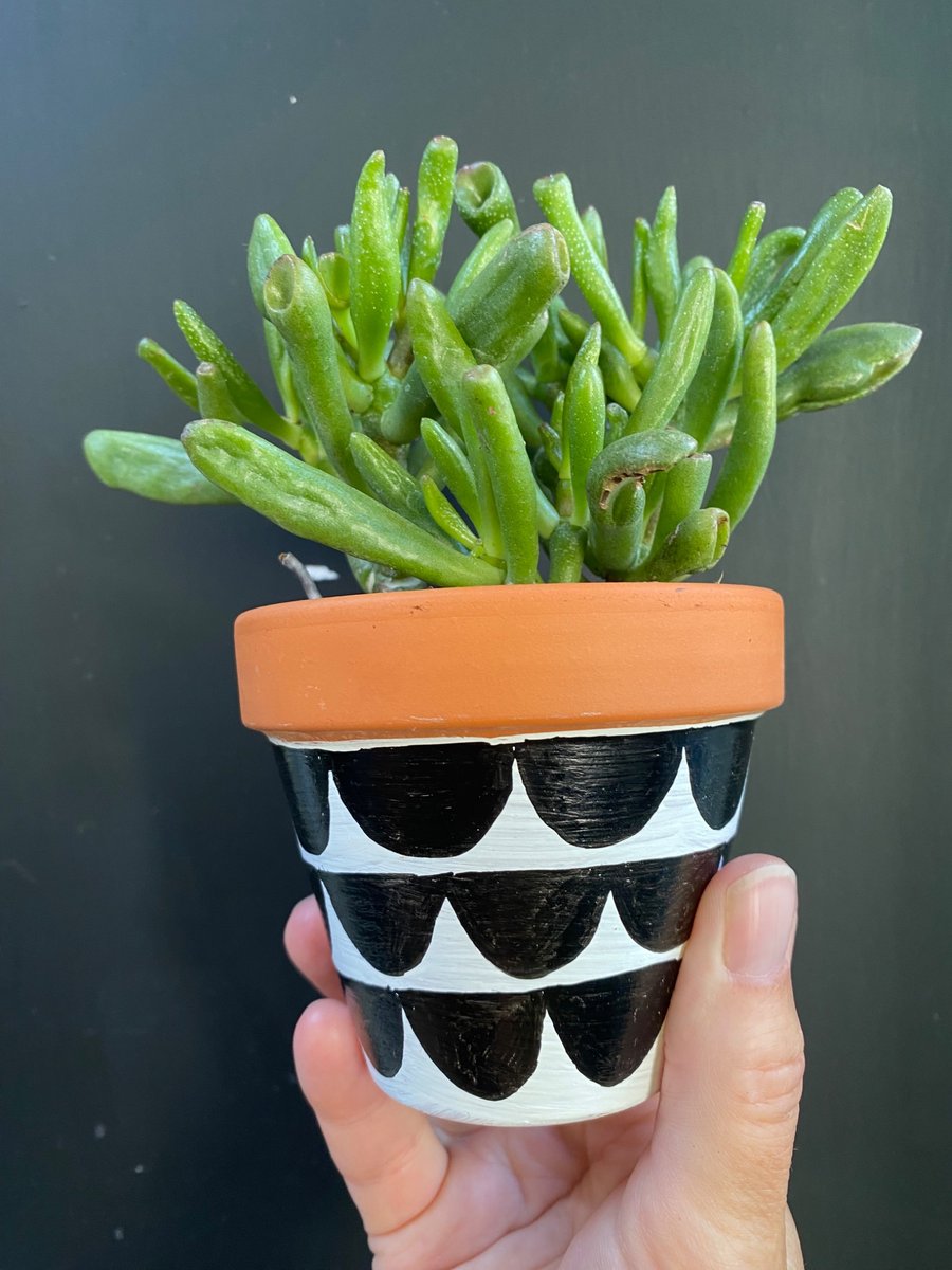 Plant pot, Hand painted, Unique gift, Terracotta