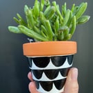 Plant pot, Hand painted, Unique gift, Terracotta