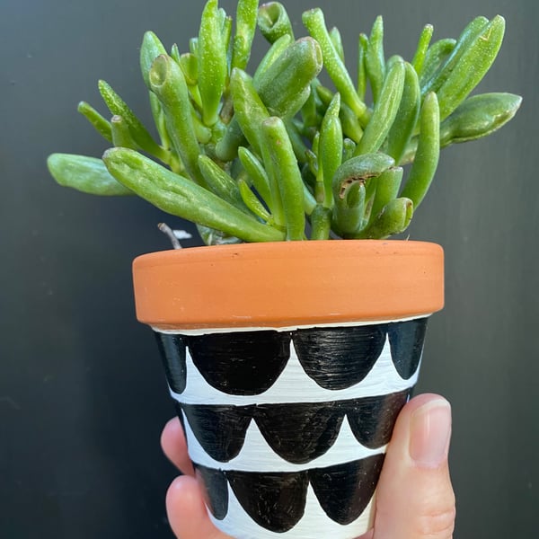 Plant pot, Hand painted, Unique gift, Terracotta
