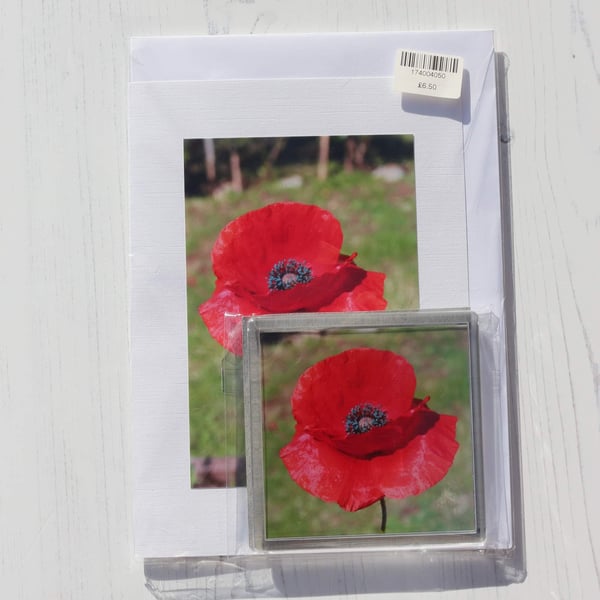 Photo card and coaster of a Poppy 