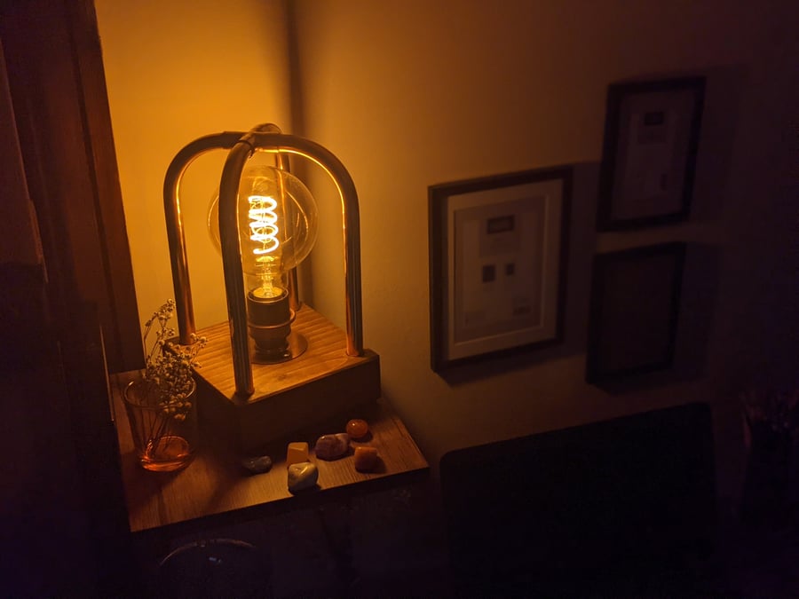 Handmade Industrial Copper Lamp Seampunk filament Style 
