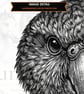 12 Vintage Kakapo Engraving SVGs - Animal Clipart Bundle (Files emailed to you) - Image 4