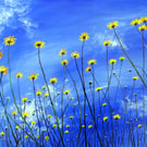 Yellow Daisies Under Blue Sky Original OIl Painting