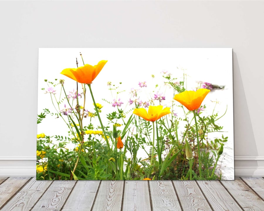 Wild flowers canvas picture print. 14"x10" (18mm depth)