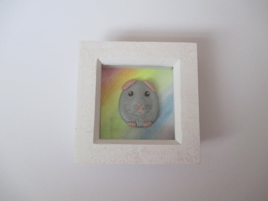 Guinea Pig Picture in Box Frame with Rainbow Background